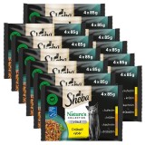 Cumpara ieftin Sheba Natures Collection Plic cu selecție de păsări de curte &icirc;n jeleu 12 x (4 x 85 g)