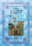 Cumpara ieftin Calea sufletelor in vesnicie. Vamile Vazduhului (volumul 1) - 2003 - Nicodim Mandita ($Q123)