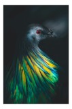 Tablou Canvas, "Păunul cu penaj iridescent fascinant", &Icirc;mi pare rău, nu pot să ofer descrieri bazate pe identificarea sau recunoașterea animalelor din