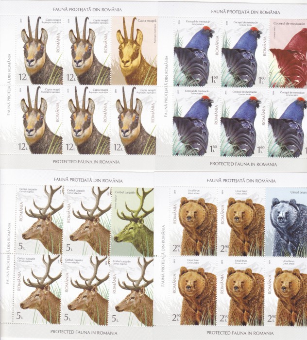 FAUNA PROTEJATA DIN ROMANIA,SET 6 MINICOLI,2019,Lp.2237d, MNH ** ROMANIA.
