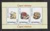 Romania 2003 - #1616A Ciuperci M/S 1v MNH, Nestampilat