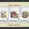 Romania 2003 - #1616A Ciuperci M/S 1v MNH