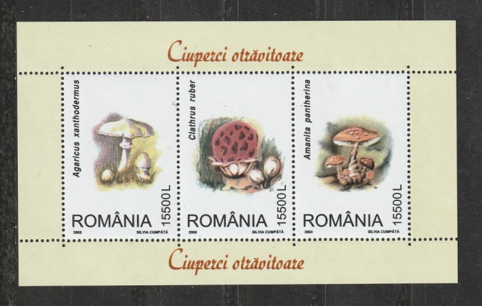 Romania 2003 - #1616A Ciuperci M/S 1v MNH