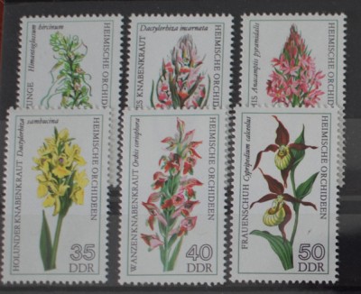 TS24/01 Timbre DDR - nestampilat Flori foto
