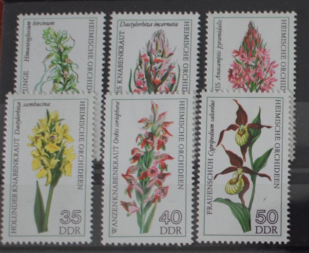 TS24/01 Timbre DDR - nestampilat Flori