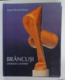 BRANCUSI , LIMBAJELE MATERIEI de MATEI STIRCEA - CRACIUN , STUDIU DE HERMENEUTICA A SCULPTURII ABSTRACTE , 2010