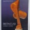 BRANCUSI , LIMBAJELE MATERIEI de MATEI STIRCEA - CRACIUN , STUDIU DE HERMENEUTICA A SCULPTURII ABSTRACTE , 2010