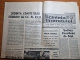 scanteia tineretului 29 octombrie 1974-art. suceava,ion tiriac,jud. bacau