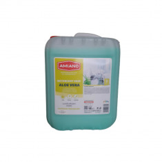 Detergent de Vase Amiano Aloe Vera 10L, Detergent Vase, Detergent Vase Concentrat, Detergent Concentrat Vase, Detergent Vase Amiano, Detergent Vase Al