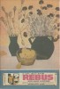 Revista Flacara Rebus nr. 13 / 1 iulie 1988