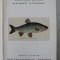 WERTVOLLE BUCHER - MANUSCRIPTE - AUTOGRAPHEN ( CATALOG DE LICITATIE ) , AUKTION 12 - 15 MAI , 1998