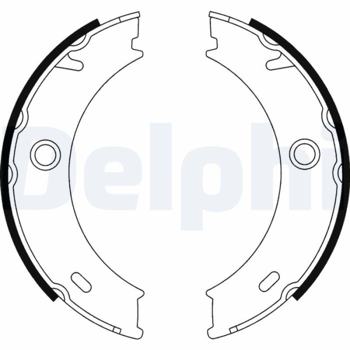 DELPHI LS1917 Set saboti frana, frana de mana