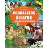 Csod&aacute;latos &aacute;llatok - Erdők, mezők &eacute;s tany&aacute;k &eacute;lővil&aacute;ga