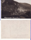Carlibaba ( Bucovina )- militara, WWI, WK1- Rara, Necirculata, Printata