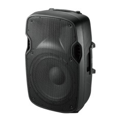 INCINTA ACUSTICA 12 inch/30CM 250W RMS foto