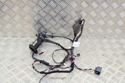 Cablaj ușă dreapta spate BMW 5 G30 2017 OEM: 9370966 12120818 foto