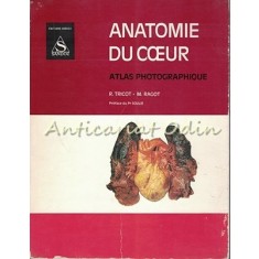 Anatomie Du Coeur. Atlas Photographique - R. Tricot, M. Ragot