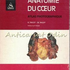 Anatomie Du Coeur. Atlas Photographique - R. Tricot, M. Ragot