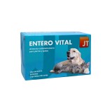 Cumpara ieftin JT-Enterovital, 60 tablete