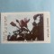 Calendar 1981 ocrotiți natura