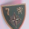 QW9 N 20 - insigna - militar - unitate militara NATO