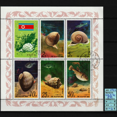 Timbre Coreea Nord, 1977 | Melci, peşti - Fauna marină | Bloc / Minisheet | aph