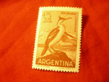 Timbru Argentina 1961 - Pasare - Cormoran