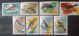 Ungaria 1961 păsări , fauna serie 8v neștampilată