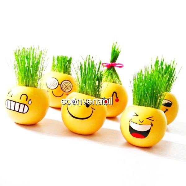 Jucarie Educativa si Decorativa cu par din Gazon Cap de Iarba Smiley Jucarie Educativa si Decorativa cu par din Gazon Cap de Iarba Smiley