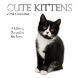 Cute Kittens - 2024 Square Wall Calendar