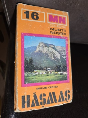 Muntii Hășmaș - Emilian Cristea foto