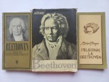 BEETHOVEN VAZUT DE CONTEMPORANI + A. ALSVANG - BEETHOVEN + PELERINAJ LA BEETHOVEN - RICHARD WAGNER