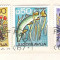 Yugoslavia Fauna, animals, fishes, PTT, used A.126