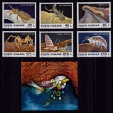 Cumpara ieftin RO 1993 , LP 1332+1333 ,&quot;Pestera Movile&quot;, serie + colita 287 ,MNH