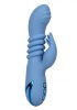 Vibrator Santa Cruz Coaster California Dream, Calexotics