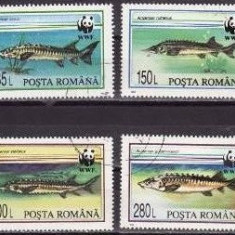 C374 - Romania 1994 - WWF 4v.stampilat,serie completa
