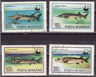 C374 - Romania 1994 - WWF 4v.stampilat,serie completa
