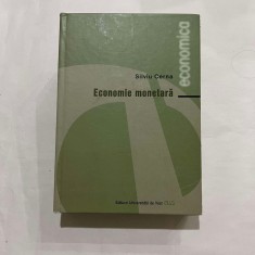 Silviu Cerna - Economie monetara