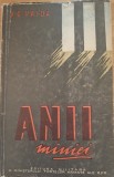 Anii maniei - A. G. Vaida