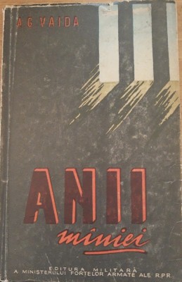 Anii maniei - A. G. Vaida foto