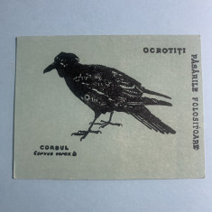 Calendar 1969 Păsări Corbu