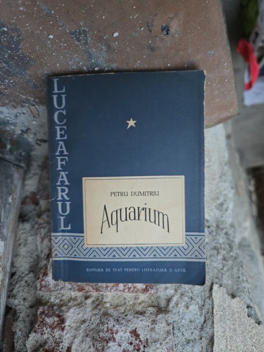 Aquarium - Petru Dumitriu
