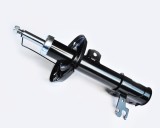 Amortizor Fata Dr. 70078 NGH 02.01.130R