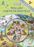 Cumpara ieftin Disney Iepurasi. Prima mea carte de explorat (2+)