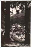 CPI B14291 CARTE POSTALA - SLANIC MOLDOVA, Circulata, Fotografie