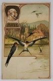 MARZ ( MARTIE ), CROMOLITOGRAFIE ART - NOUVEAU , CARTE POSTALA , CLASICA