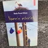 Numele mierlei - Radu Paul Gheo
