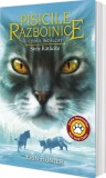 Cartea 37 Pisicile Razboinice. Codul incalcat: Stele Ratacite - Editura Grupul All