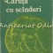 Caruta Cu Scinduri - Marcel Petrisor