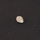 Fenacit nigerian cristal natural unicat f108